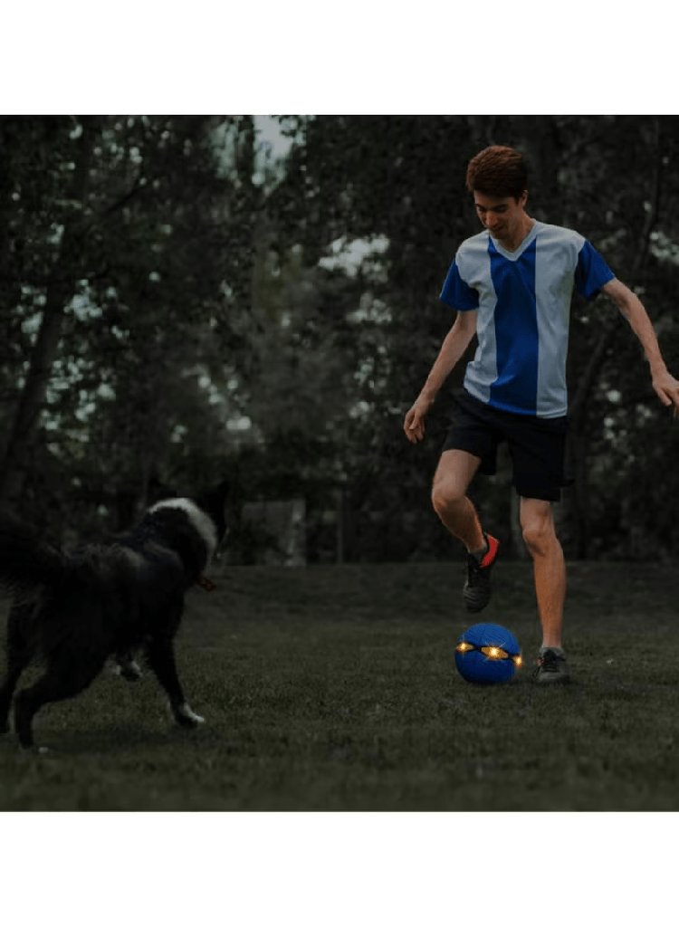 Flying Disc Ball Toy for Dogs – Interactive Pet Training and Play Toy