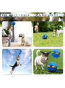 Flying Disc Ball Toy for Dogs – Interactive Pet Training and Play Toy
