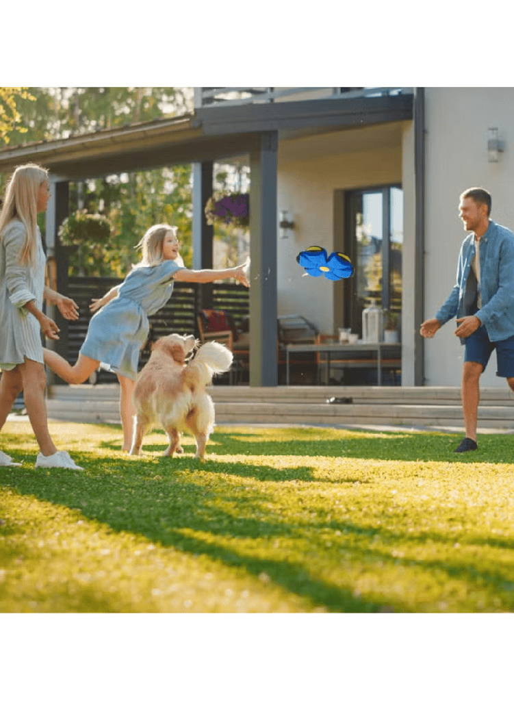 Flying Disc Ball Toy for Dogs – Interactive Pet Training and Play Toy