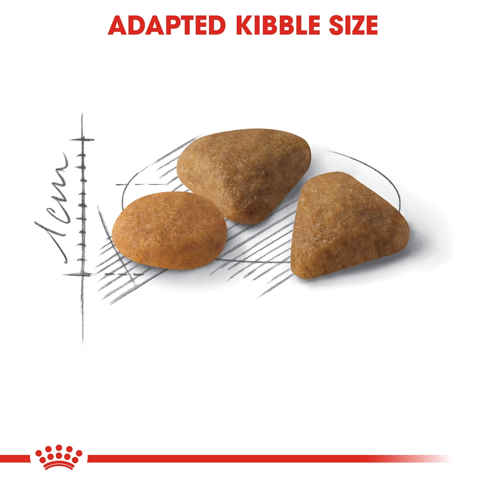 Royal Canin Exigent Cat Dry Food 2kg