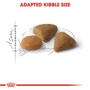 Royal Canin Exigent Cat Dry Food 2kg