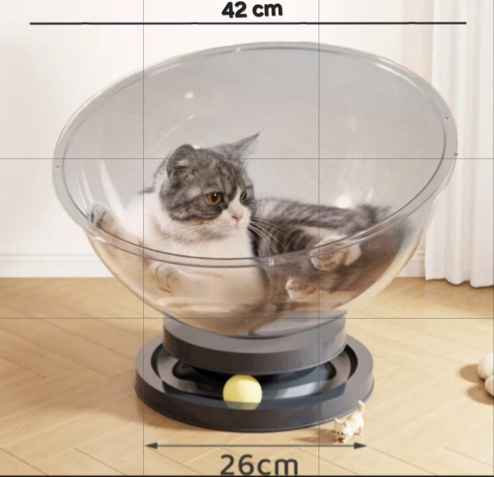 Circular Plastic Cat Bed with 2 Interactive Rolling Balls – Durable Transparent Pet Lounge