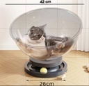 Circular Plastic Cat Bed with 2 Interactive Rolling Balls – Durable Transparent Pet Lounge
