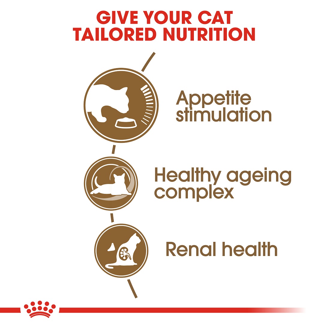 5cf664a2_royal-canin-ageing-12-dry-food-for-cats-2kg