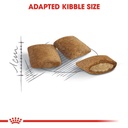Royal Canin Ageing +12 Dry Food for cats 2kg
