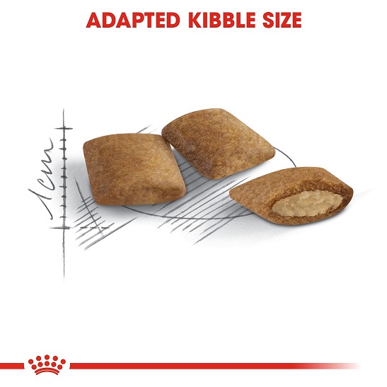 5cf664a2_royal-canin-ageing-12-dry-food-for-cats-2kg