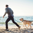 DOCO VARIO Nylon Dog Leash with Reflective Thread Large (2.5 X 120cm)