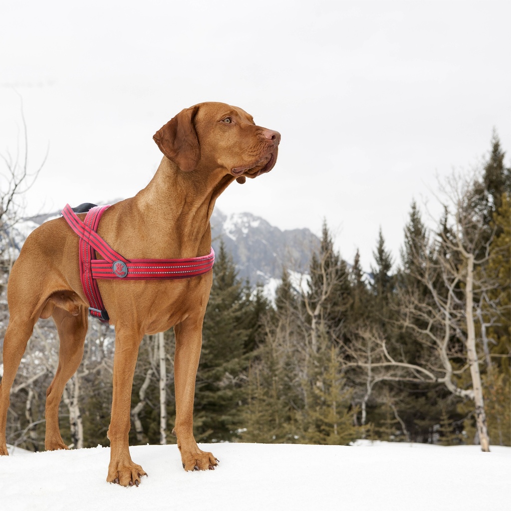 DOCO VARIO Harness M/L ( 2.5 x 60*64-80cm)