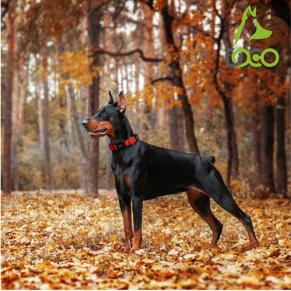 Doco Puff Mesh Dog Collar XS (1.5 x 21-30cm )