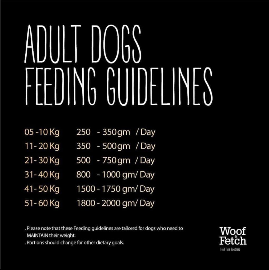 Woof & Fetch Frozen Duck Meal 500 G