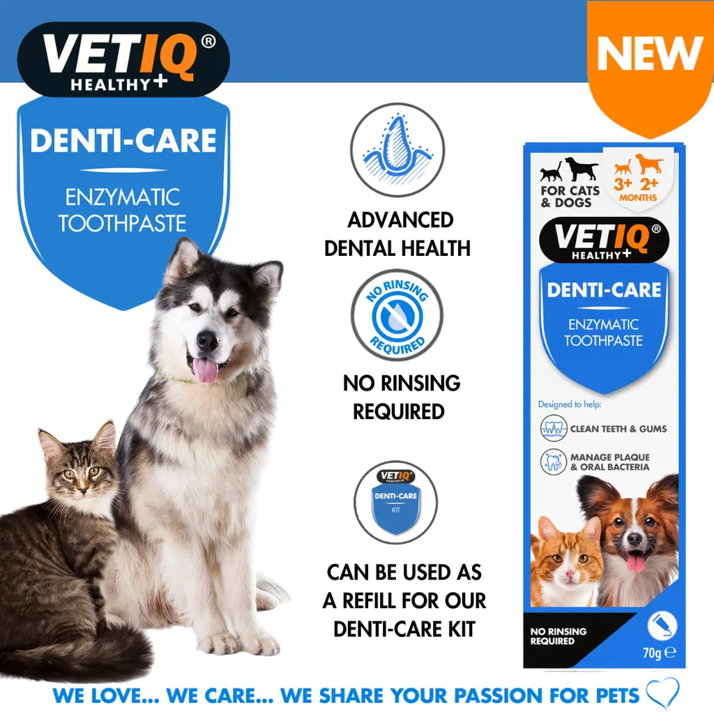 VETIQ Denti-Care Enzymatic Toothpaste 70g