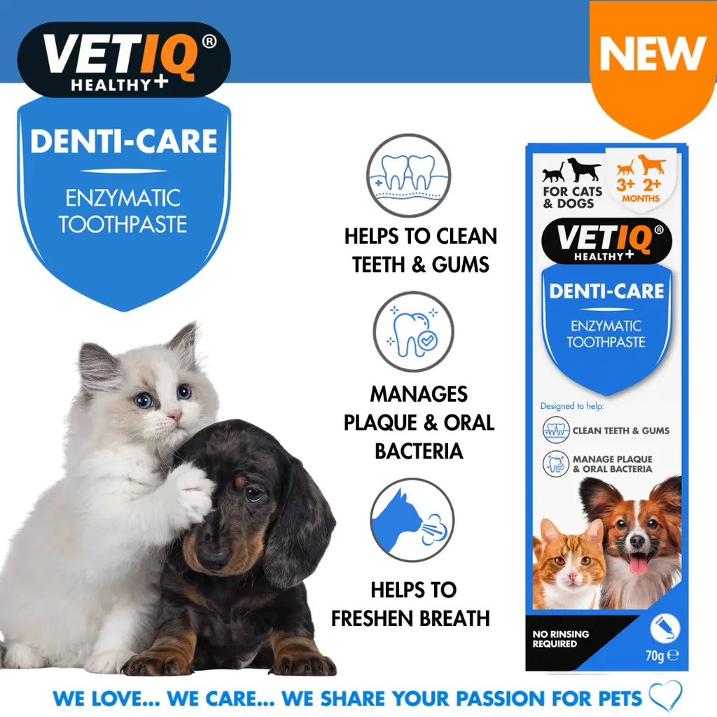 VETIQ Denti-Care Enzymatic Toothpaste 70g