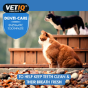 VETIQ Denti-Care Enzymatic Toothpaste 70g