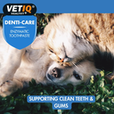 VETIQ Denti-Care Enzymatic Toothpaste 70g