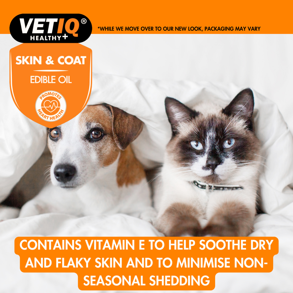 VETIQ Skin & Coat Edible Oil 250ML