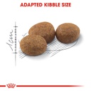 Royal Canin Sterilised Cats Dry Food 2kg
