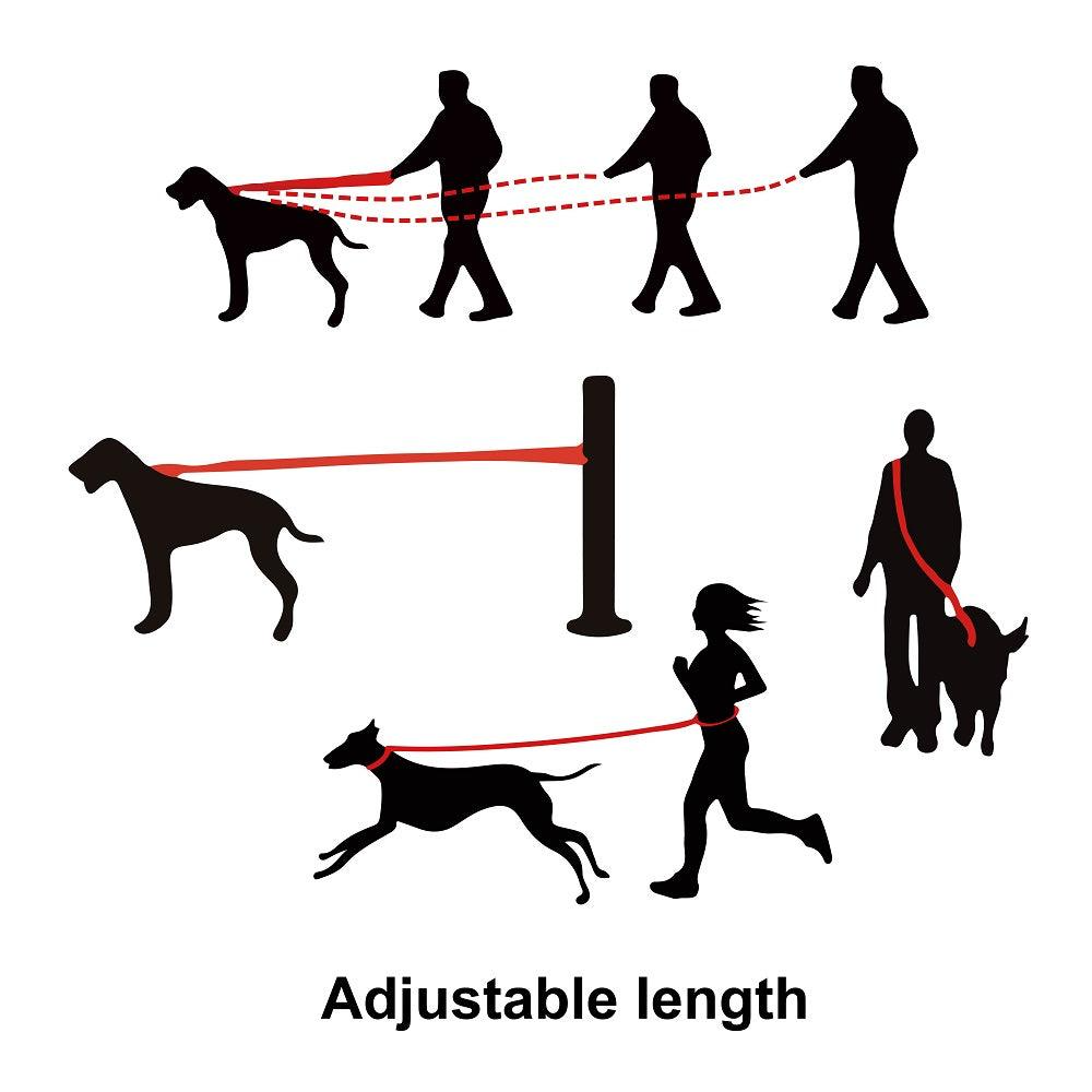 Doco Mesh Easy Snap Leash M/L ( 2.5 x 180cm )