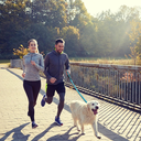 Doco Mesh Easy Snap Leash M/L ( 2.5 x 180cm )