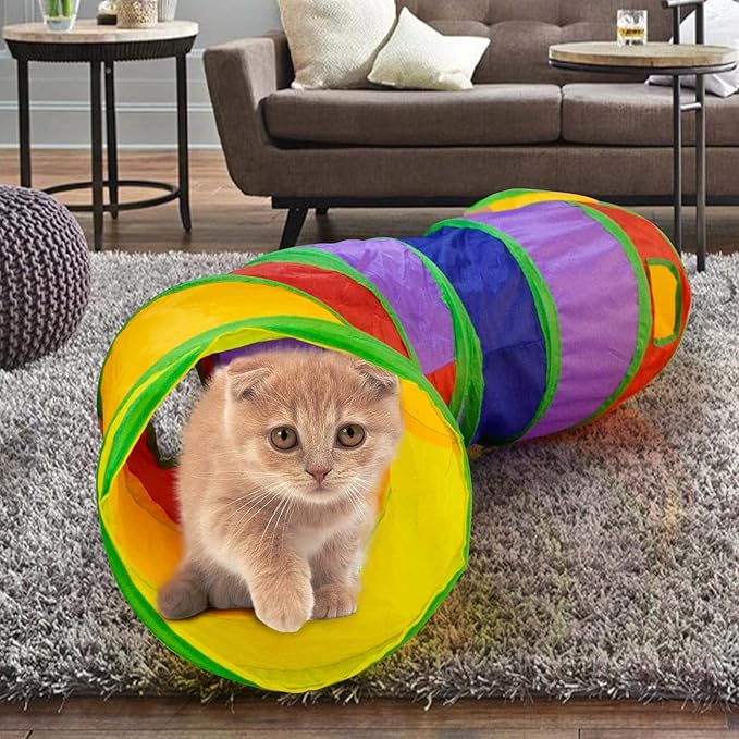 cat s tunnel