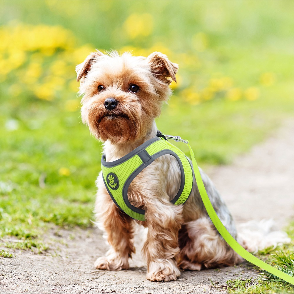 Doco Quick-Fit Comfort Dog Harness Medium