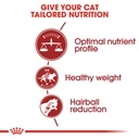 Royal Canin Fit Cat Dry Food 2kg