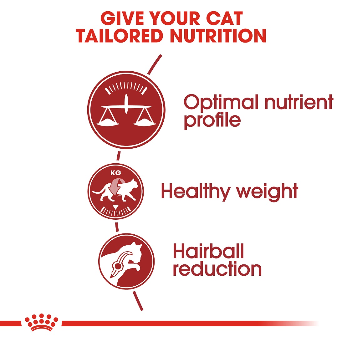 5cf682ca_royal-canin-fit-cat-dry-food-2kg