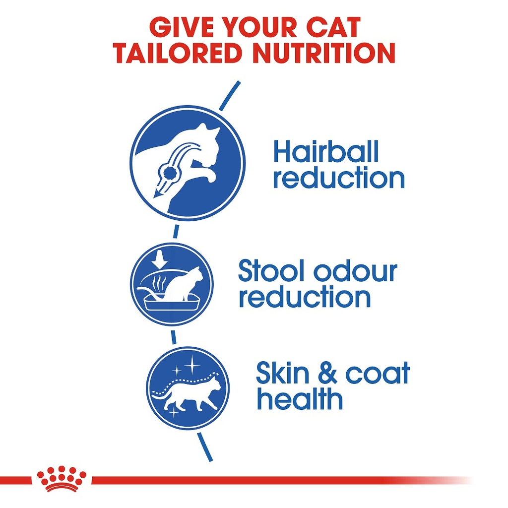 Royal Canin Indoor Long Hair Adult Dry Cat Food 400g