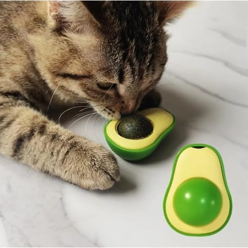 Avocado catnip