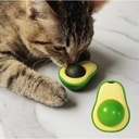 Avocado catnip