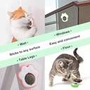 Paw-Shaped Catnip Ball Toy for Cats – Rotating Wall-Mounted Cat Treat Toy | Natural Catnip for Dental Health, Fresh Breath & Hairball Relief