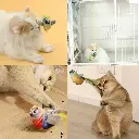 Plush bird toy with sound