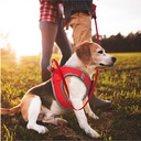 Doco Stitched Mesh Handle Dog Leash Small (1.5 x 150cm)