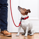 Doco Reflective Rope Leash Large (13mm x 180cm)