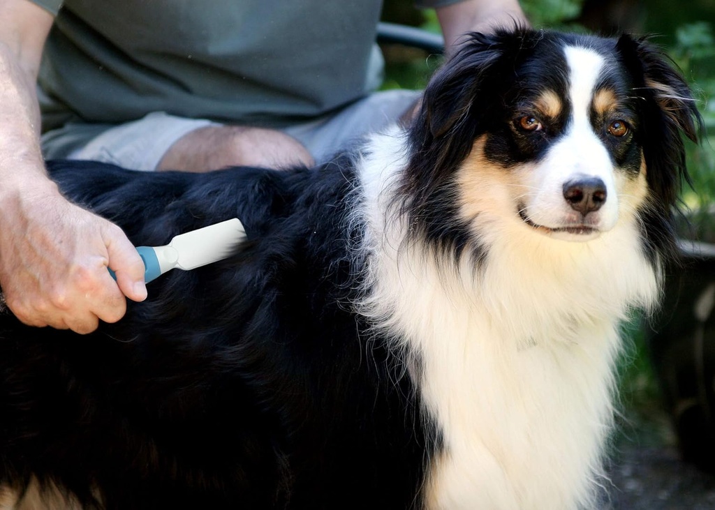 Pet Grooming Detangling Comb for Dogs & Cats – Anti-Knot, Shedding & Hair Care Tool (KD-031) - Pink