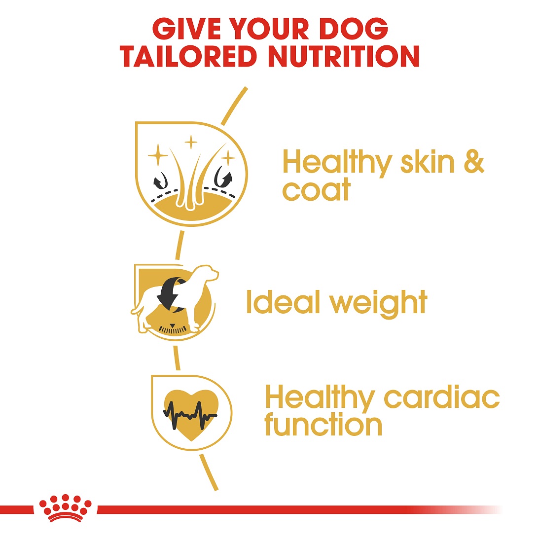 5cfe7cd9_royal-canin-cocker-spaniel-adult-3kg