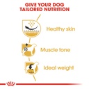Royal Canin Pug Adult 1.5 Kg