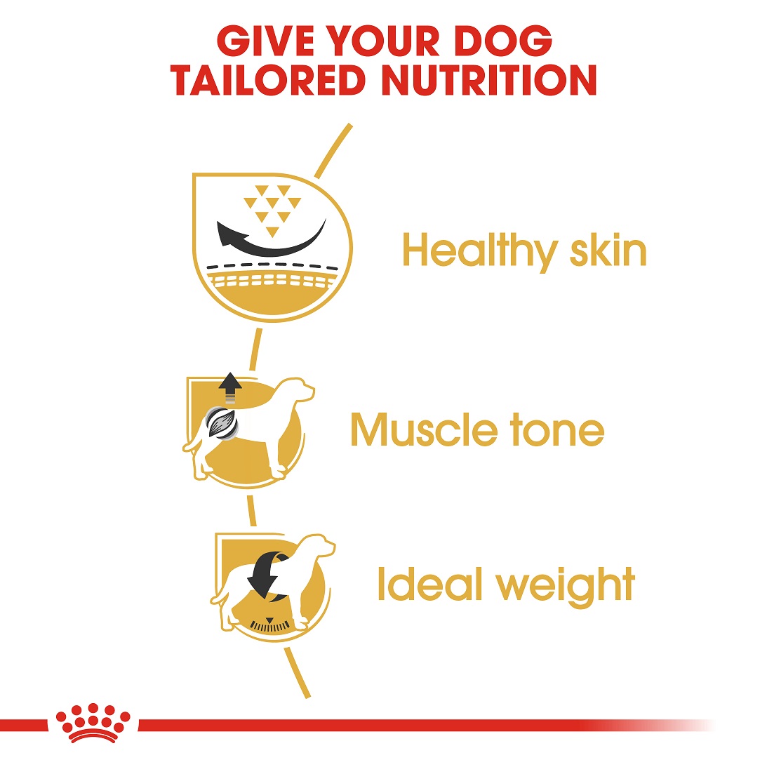 5cfe7e78_royal-canin-pug-adult-1-5-kg