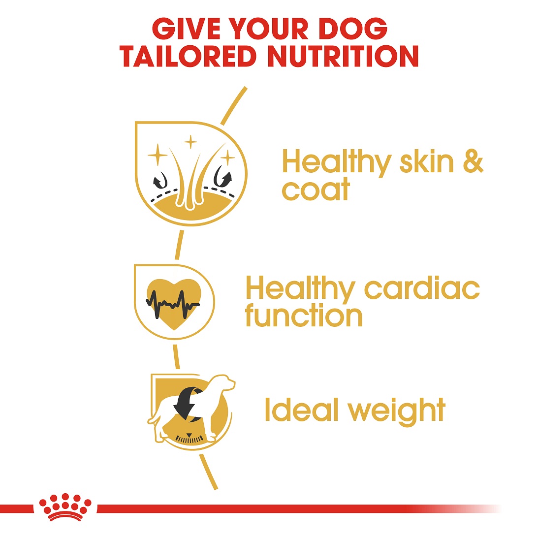 5d011417_royal-canin-golden-retriever-adult-dry-food-3kg