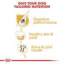 Royal Canin German Shepherd Adult 3kg