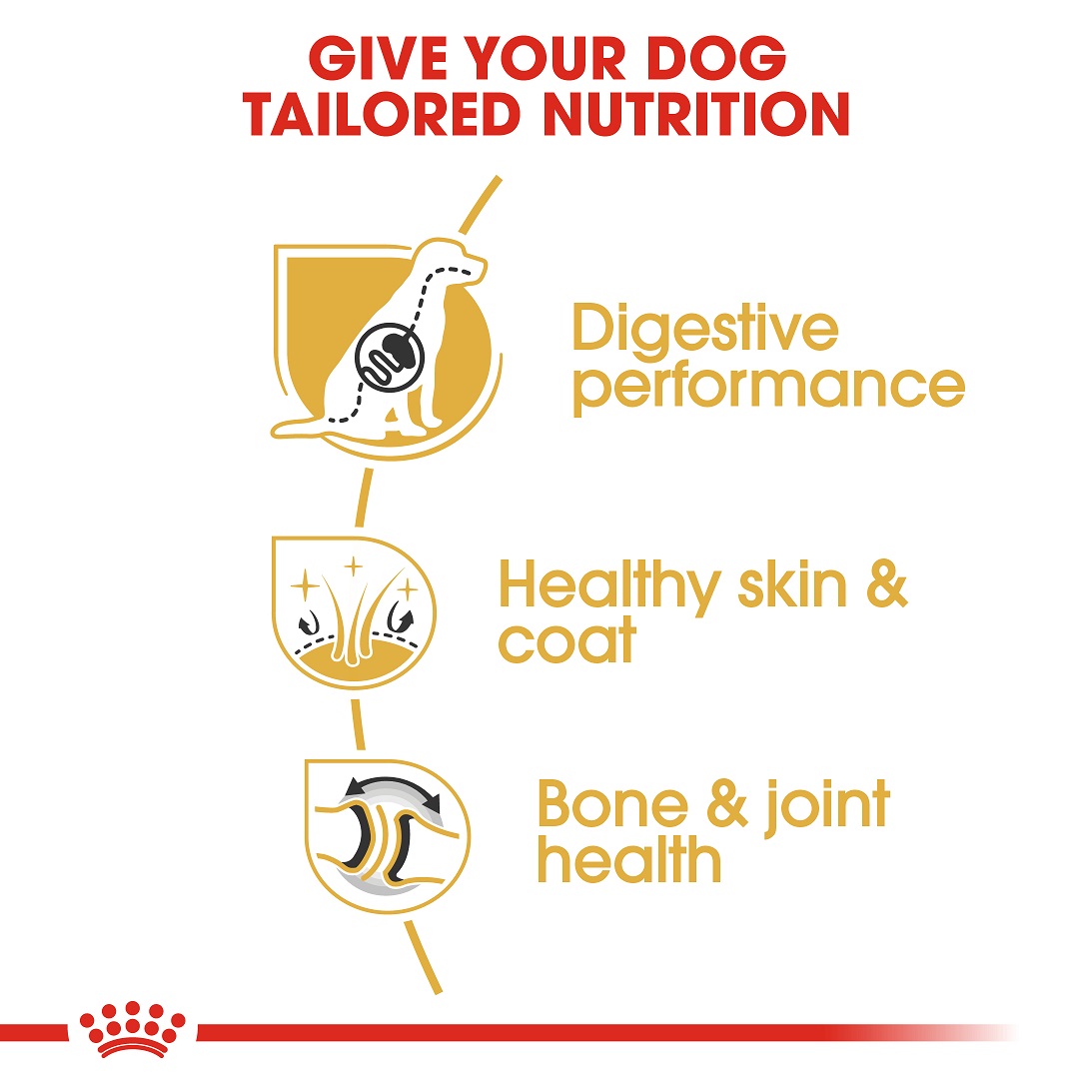 5d022e08_royal-canin-german-shepherd-adult-3kg