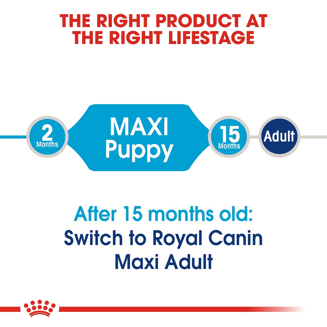 5d0376e3_royal-canin-maxi-puppy-food-4kg
