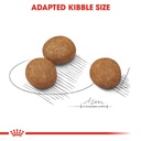 Royal Canin Maxi  Puppy Food 4kg