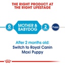 Royal Canin - Maxi Starter Dry Food 4kg 