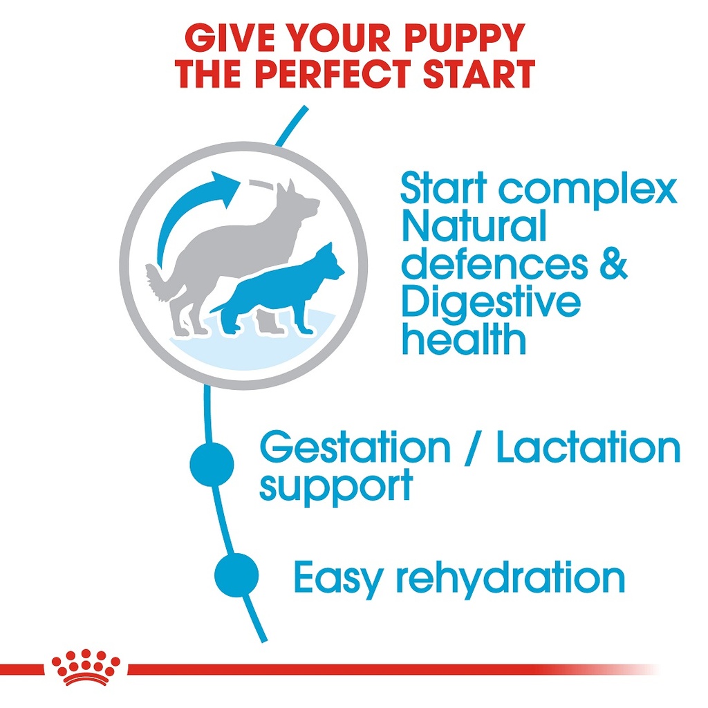 Royal Canin - Maxi Starter Dry Food 4kg 