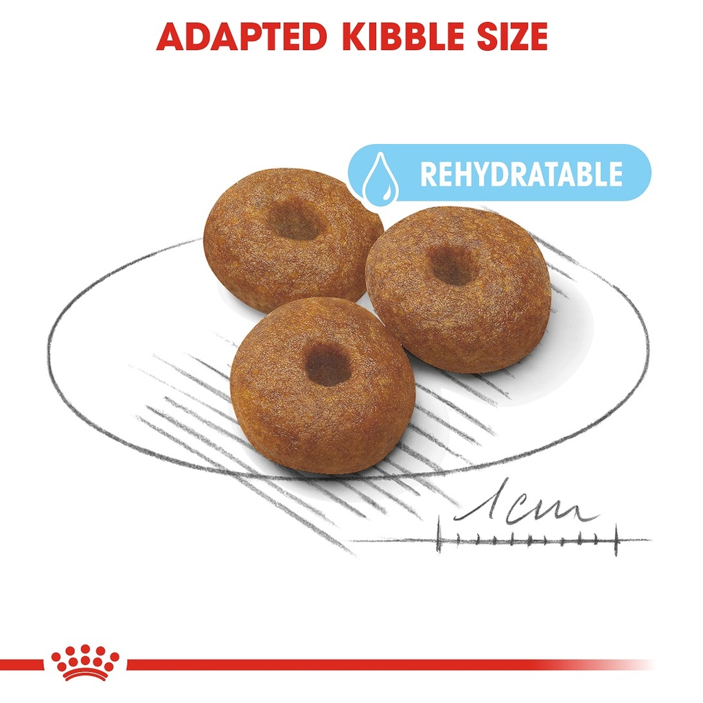Royal Canin - Maxi Starter Dry Food 4kg 
