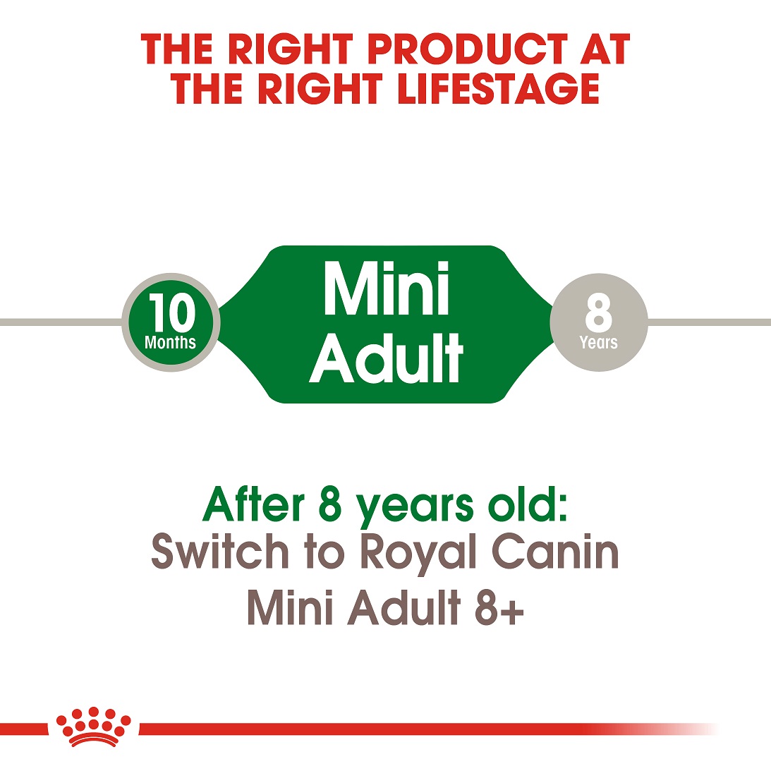 5d0b9a81_royal-canin-mini-adult-dry-food-2kg