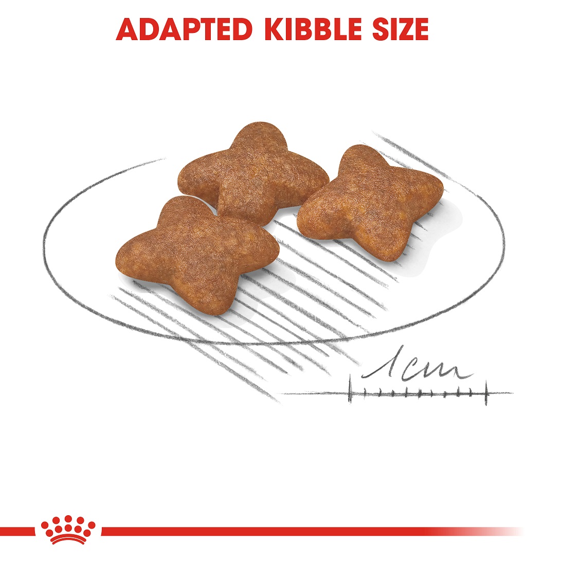 5d0b9a9a_royal-canin-mini-adult-dry-food-2kg