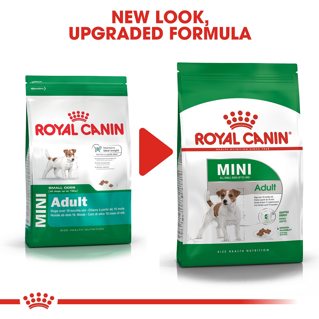 5d0b9a9a_royal-canin-mini-adult-dry-food-2kg