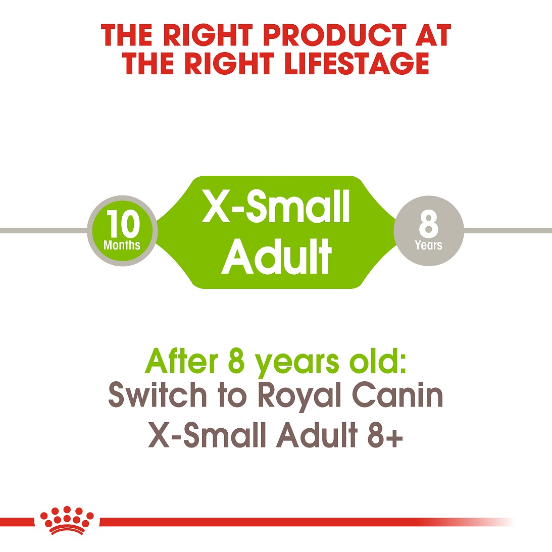 5d0cb4e5_royal-canin-x-small-adult-1-5-kg