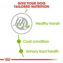 Royal Canin X-Small Adult 1.5 kg
